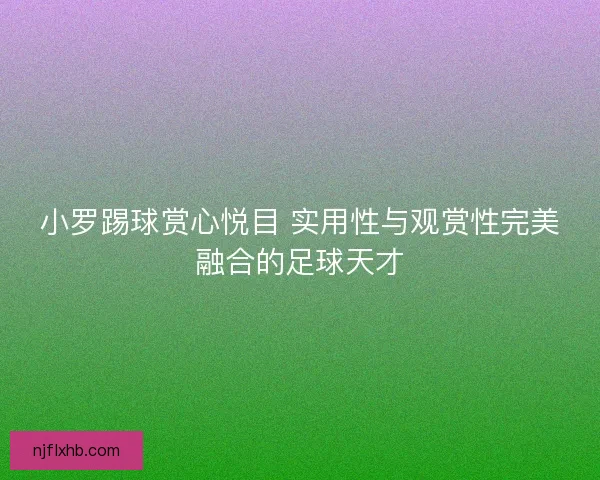 小罗踢球赏心悦目 实用性与观赏性完美融合的足球天才